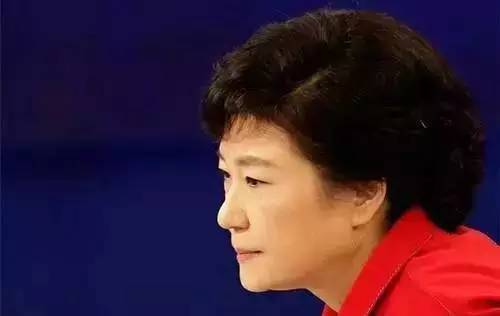 朴槿惠的最新日常，温馨的日常故事