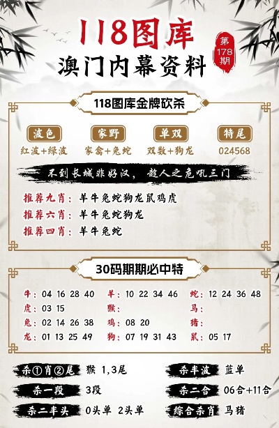 2024澳门精准正版资料,解析解释说法_GEA23.690迅捷版