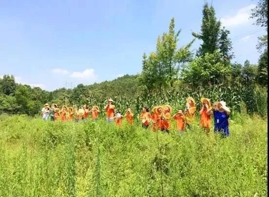 最新小品下载，自然美景的心灵之旅之旅