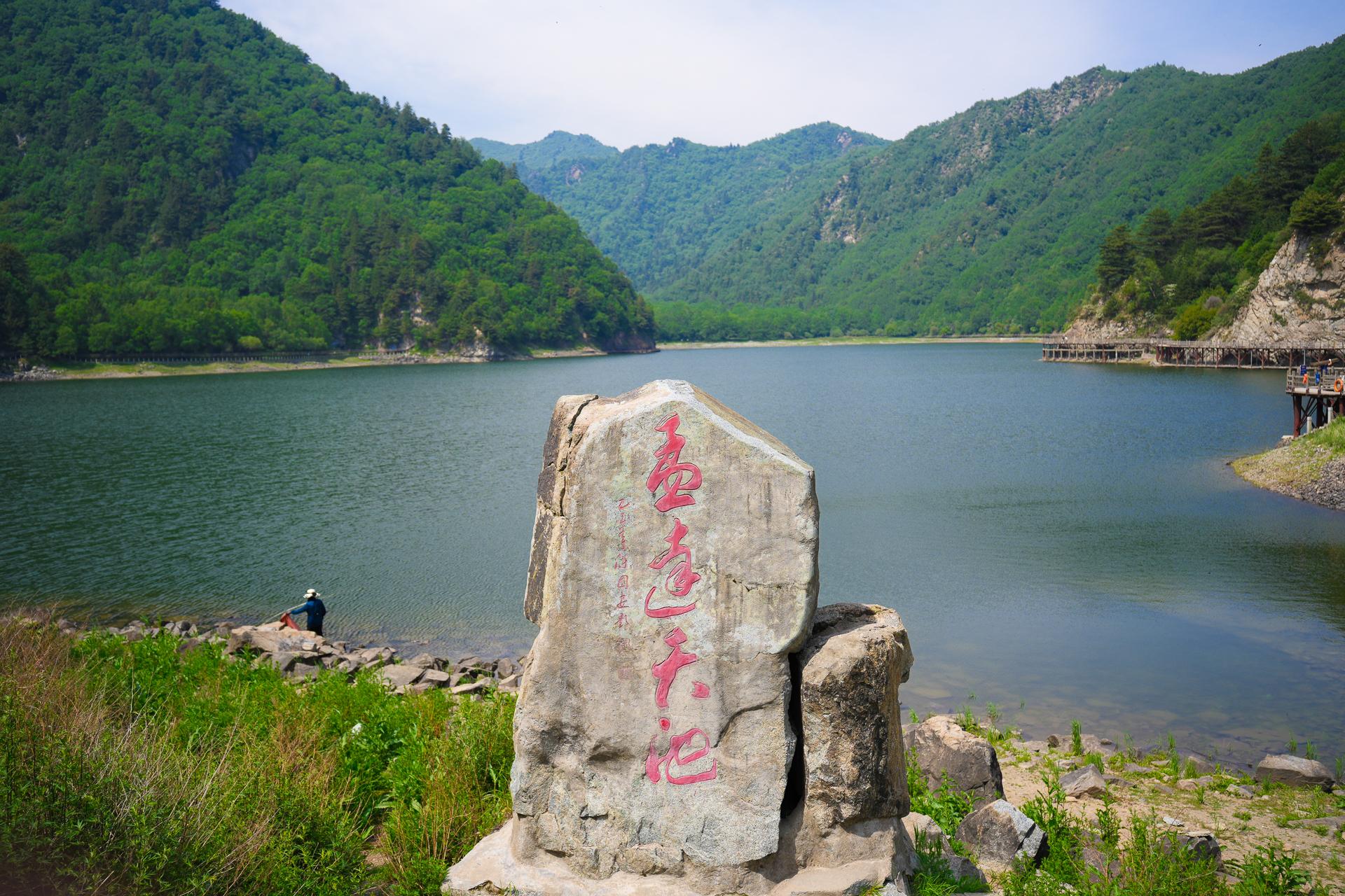 青岛西海岸最新项目，引领城市发展的璀璨明珠之光