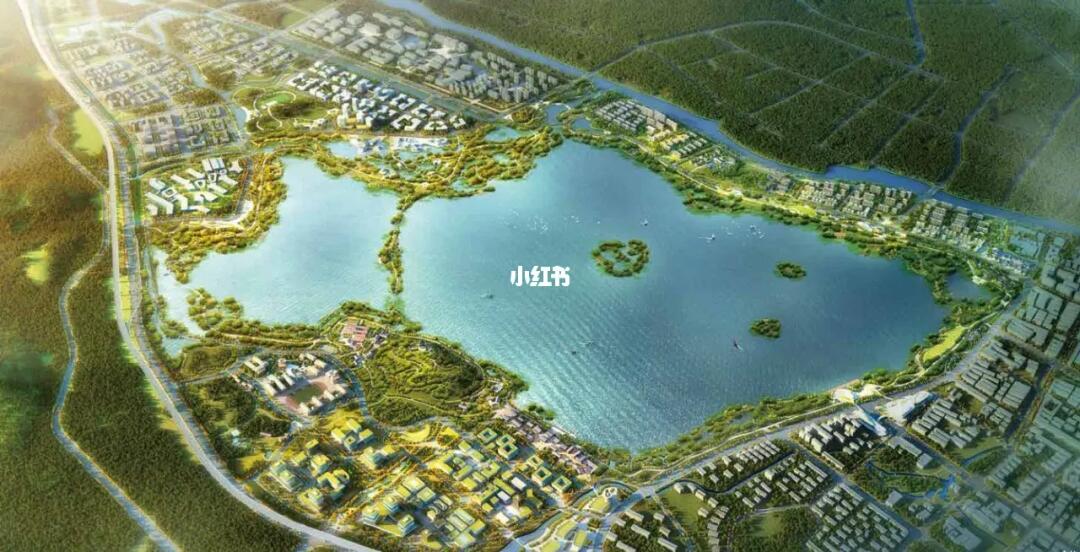 余杭南湖最新动态更新✨
