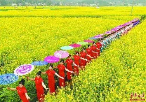 娄底科技璀璨，最新高科技产品点亮未来生活