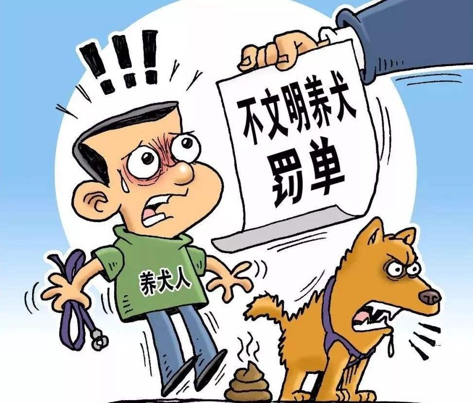 最新杂交犬种，探索宠物界新星，璀璨夺目的未来展望