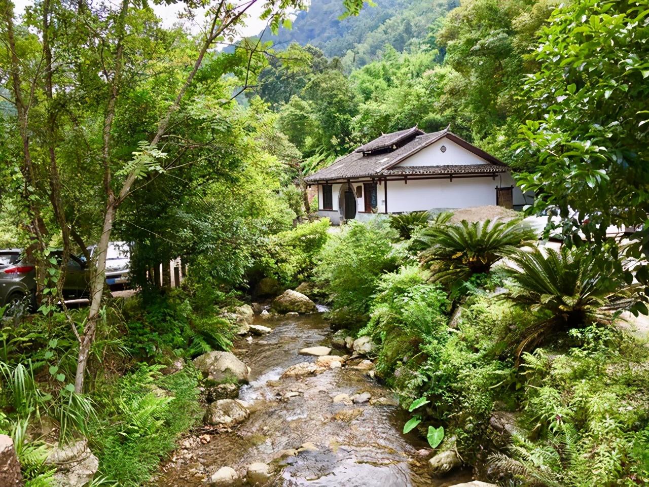 自然美景的心灵之旅，欣赏者的最新体验