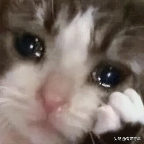 小红书