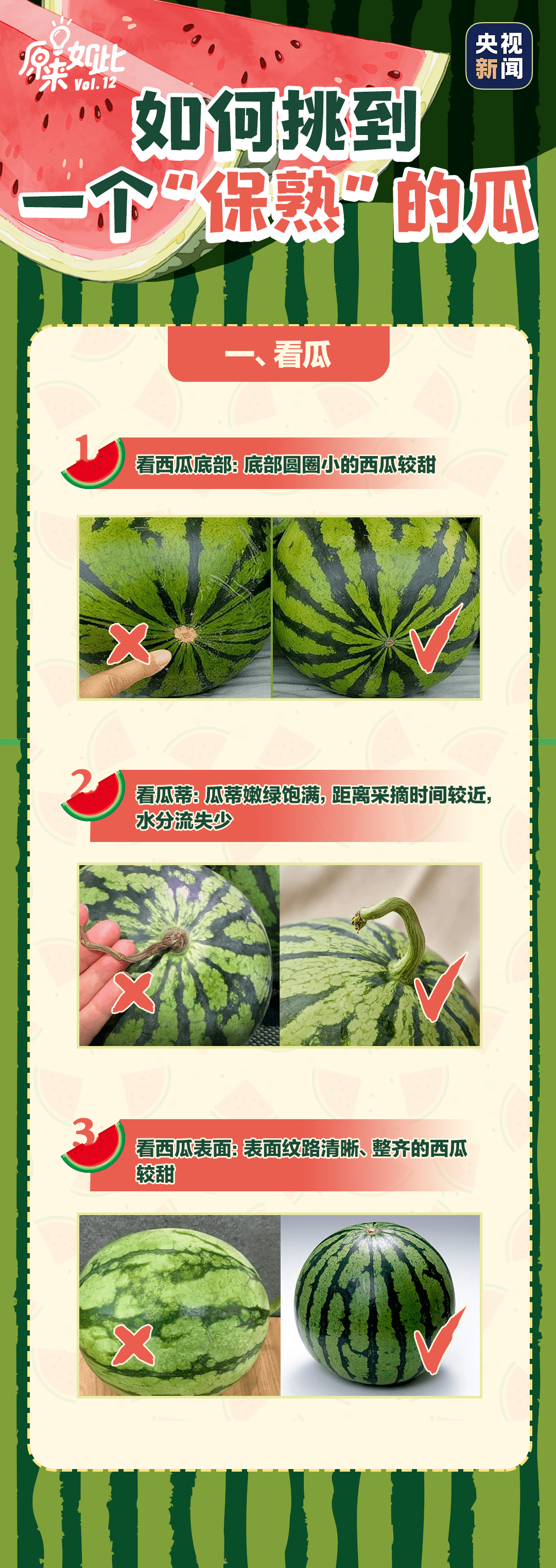 最新吃瓜视频深度解析与观点阐述