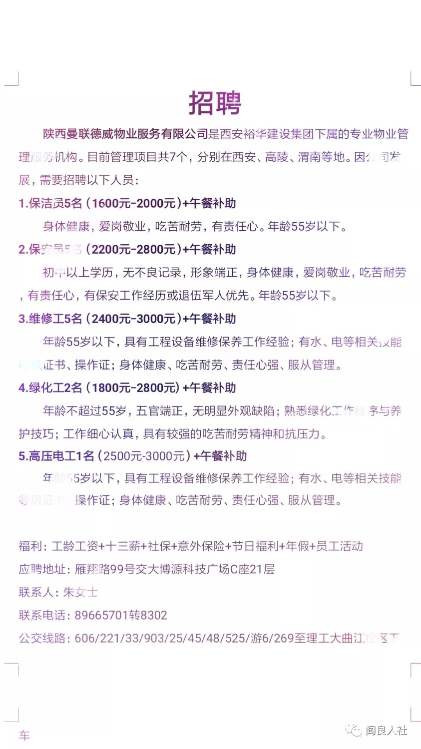周至双休时光，工作友情交织的温馨故事招聘启事