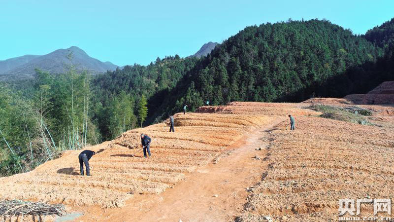 江西修水新闻最新动态，自然美景探索之旅，追寻内心平和与喜悦