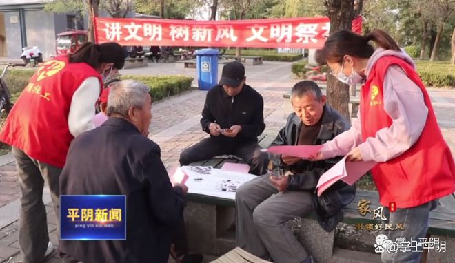 平阴新闻最新，友情与陪伴的温馨日常