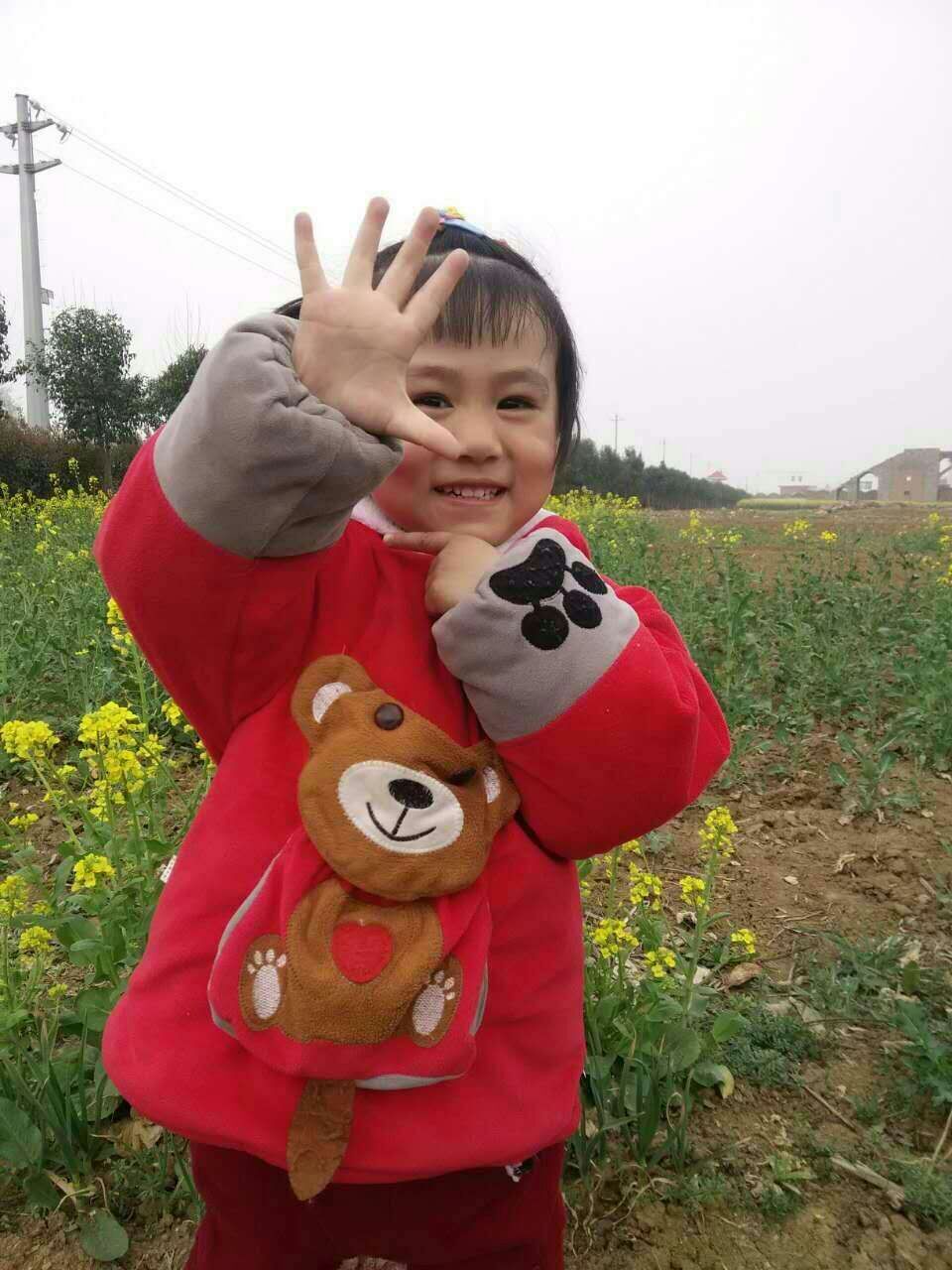 王依萌最新动态揭秘，新星之路的探索之旅