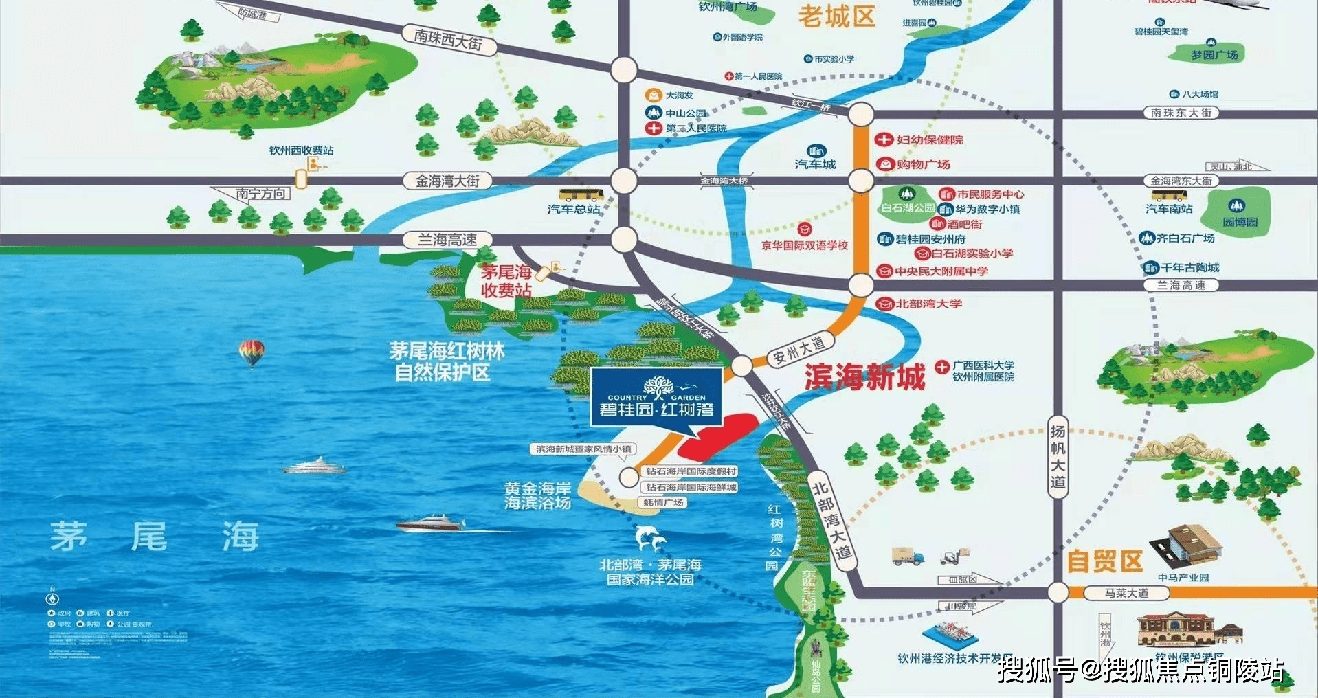 钦州最新新闻报道